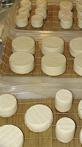 Storing And Aging Homemade Cheese - Cultures For Health