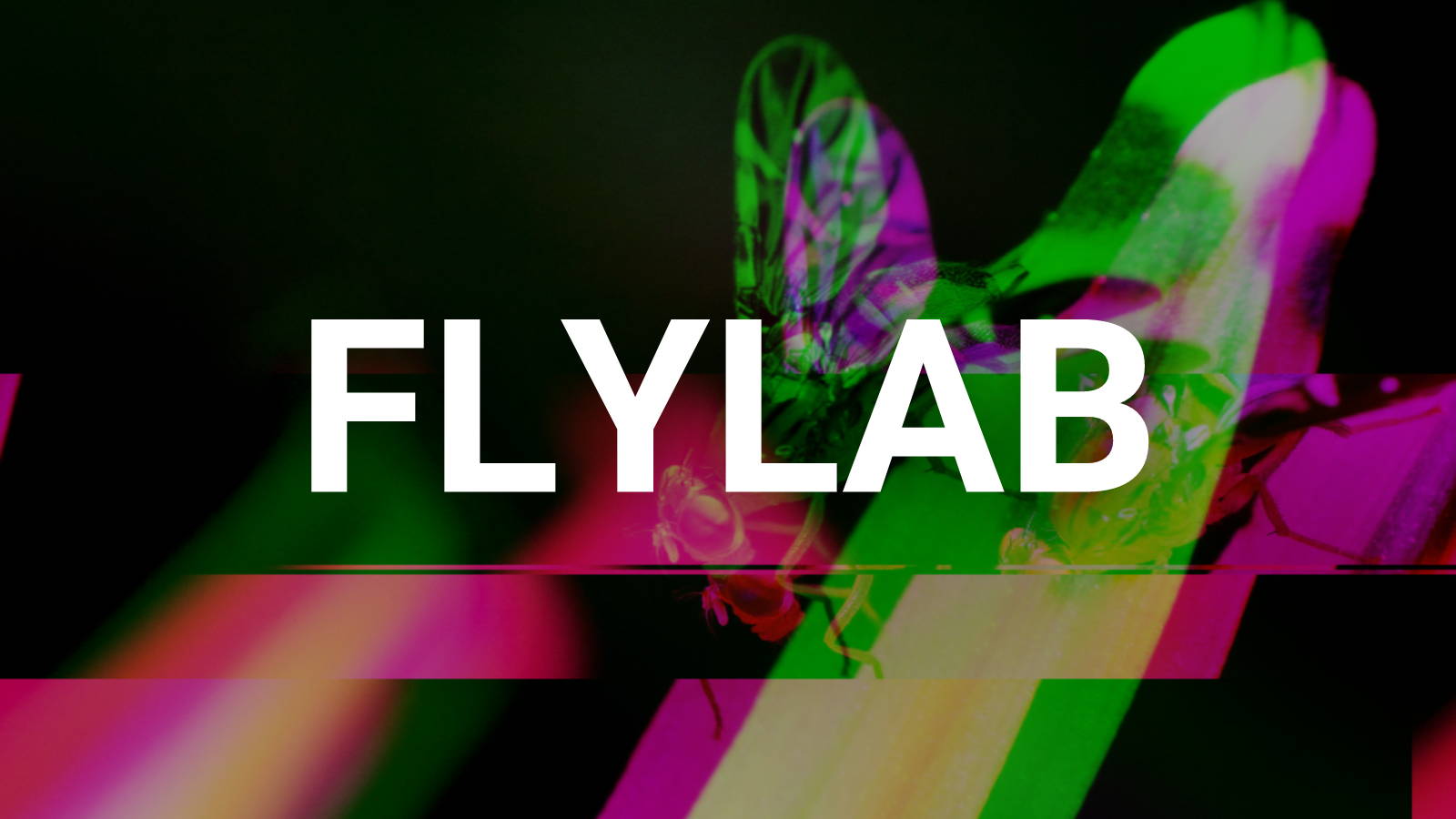 Future Fields blog Flylab