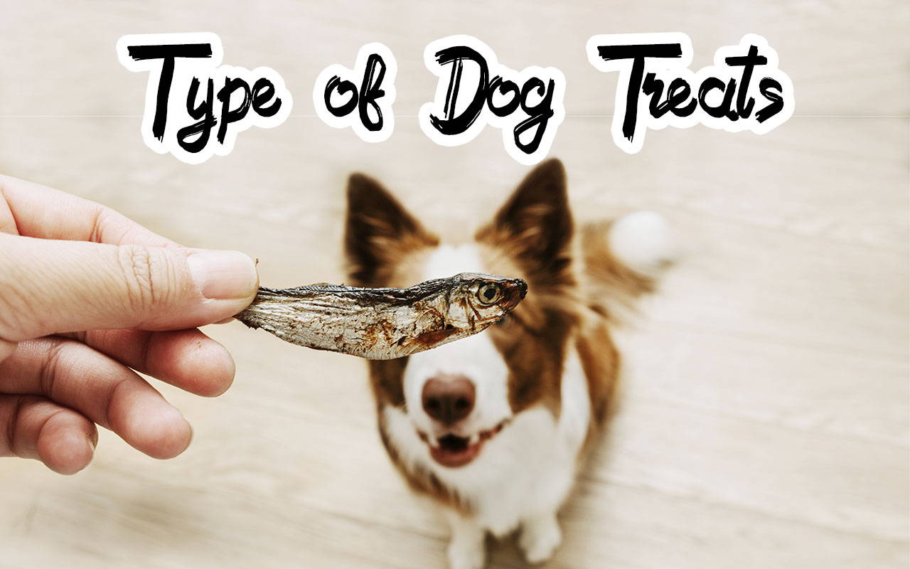Type of dog treats available at our online pet shop pets talk blog.
