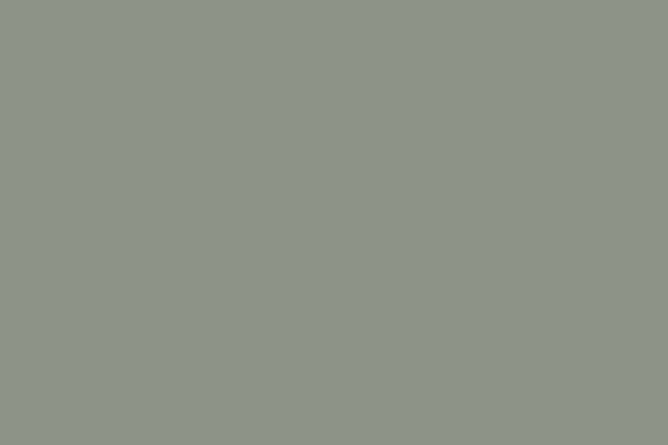 Solid light gray background with a subtle texture.