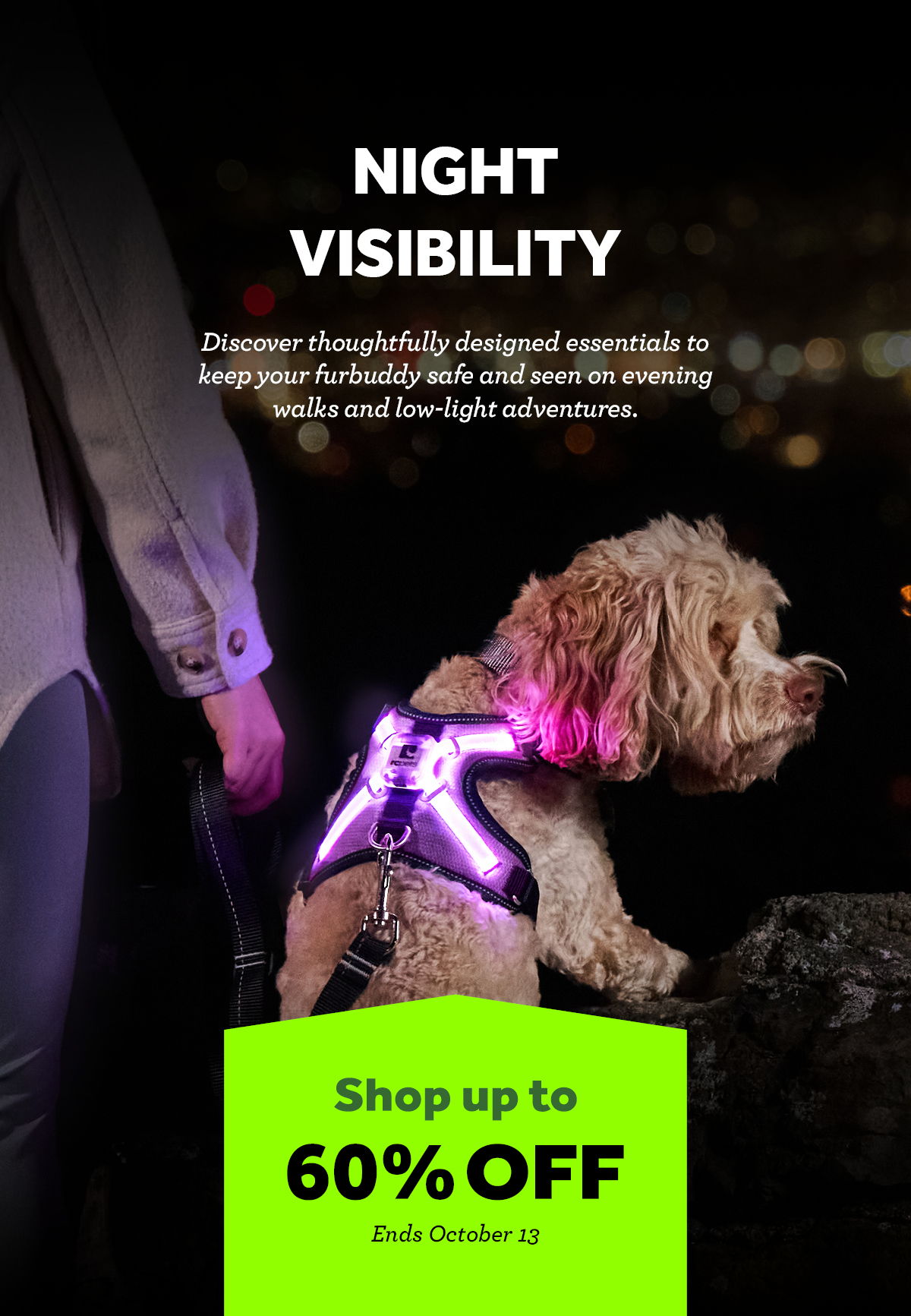 Dog wearing a harness with lights, promoting night visibility products.