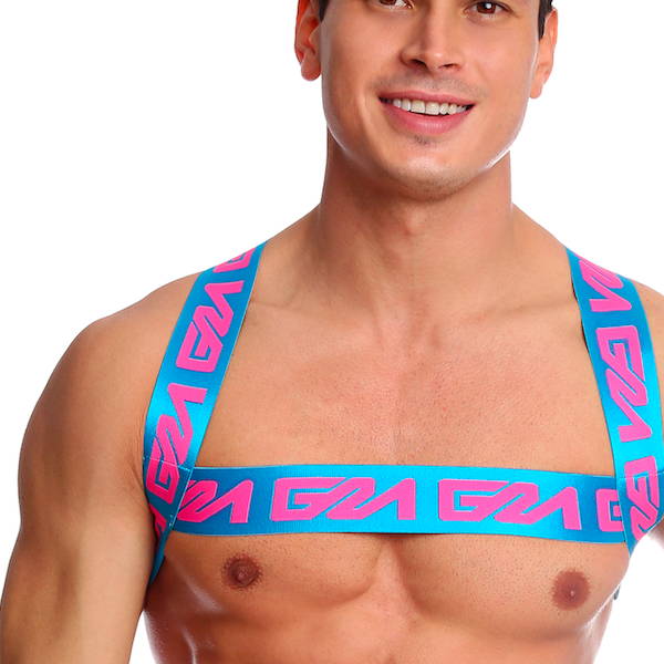 gay harness