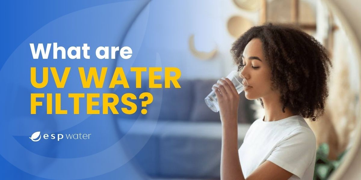 Person drinking water, asking about UV water filters.