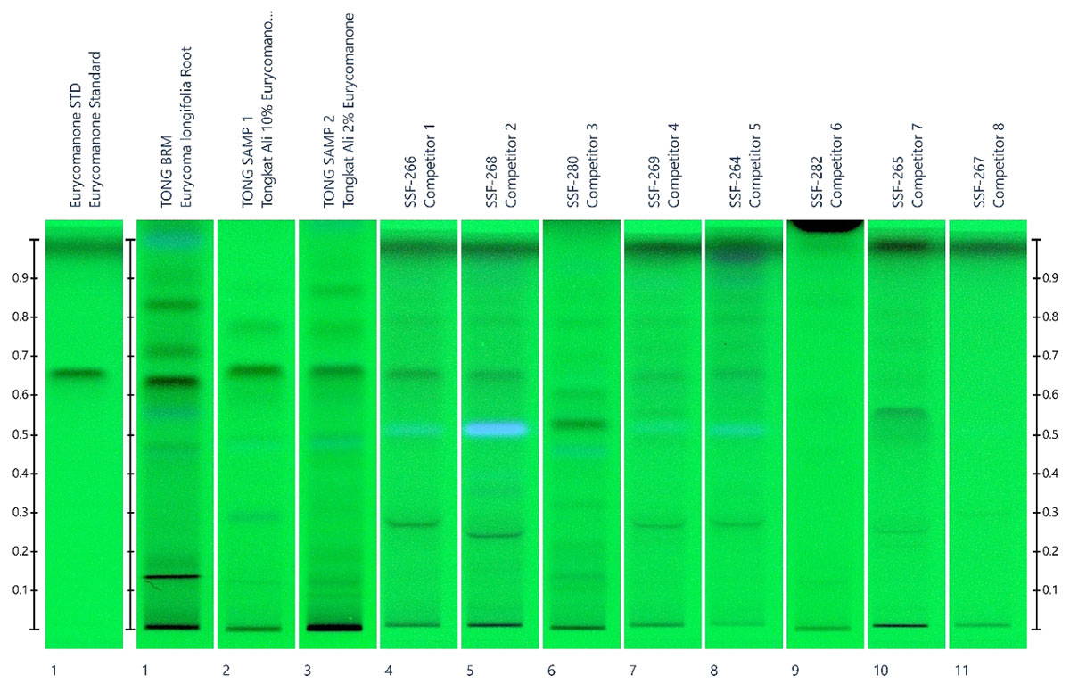 Tongkat Ali Testing Results #1