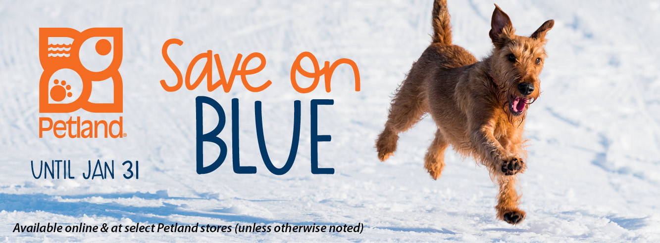 BLUE Buffalo Sale until January 31, 2023, while supplies last