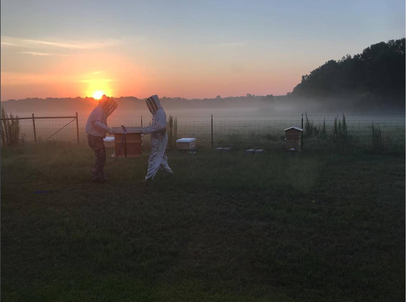 Jennings Apiary