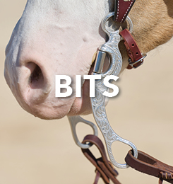 Close-up of a horse's nose with a bit attached to the bridle.