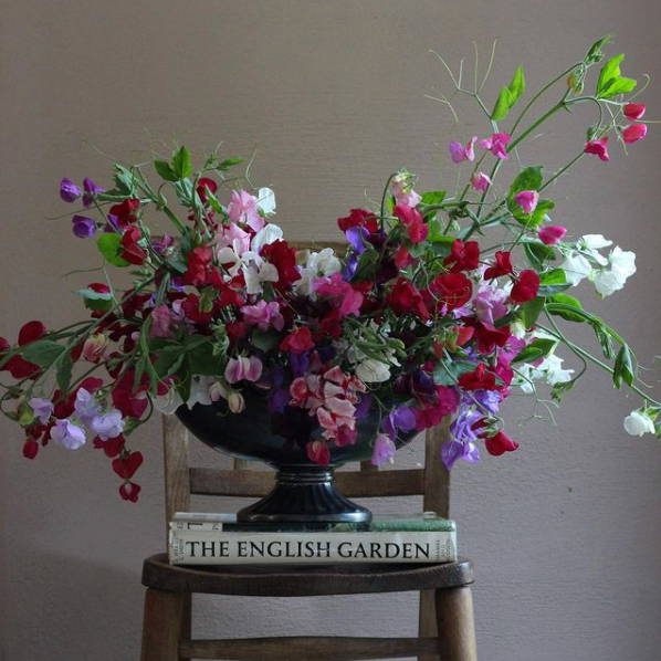 A floral arrangement of sweetpeas by Joanna Game