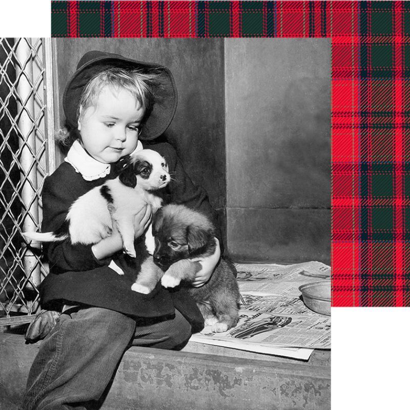 Child holding two puppies, wearing a black outfit, with a plaid background.