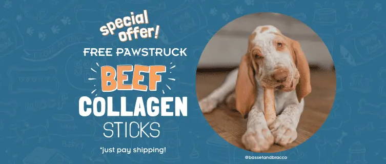 Puppy chewing on a collagen stick against a blue background with cartoon dog images. Text: Special offer! Free Pawstruck Beef Collagen Sticks. Just pay shipping! 