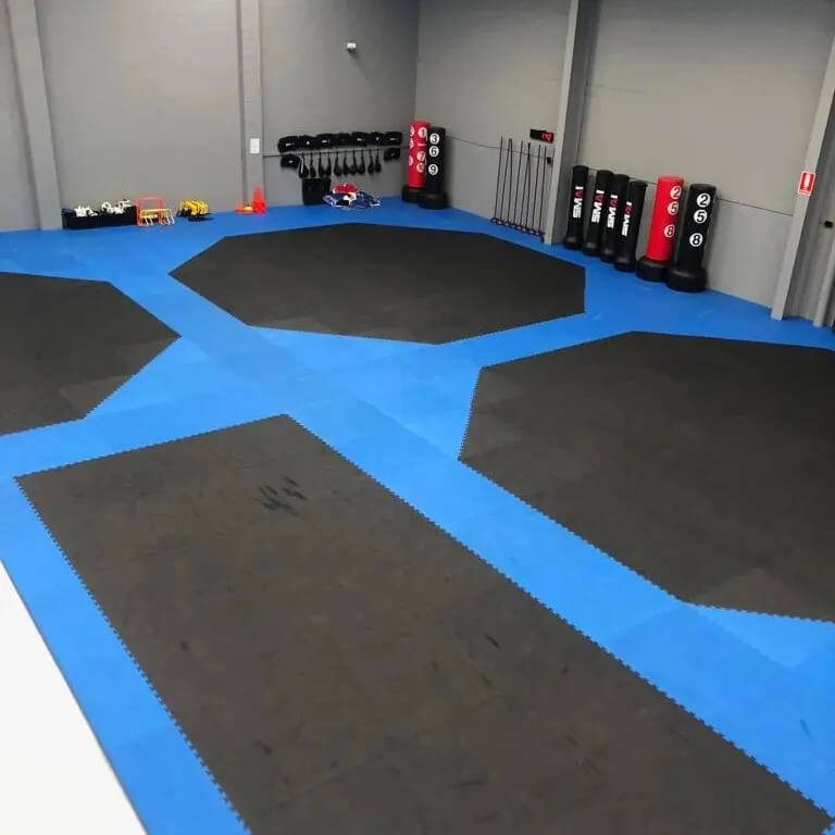 black and blue octagon jigsaw mats on gym floor