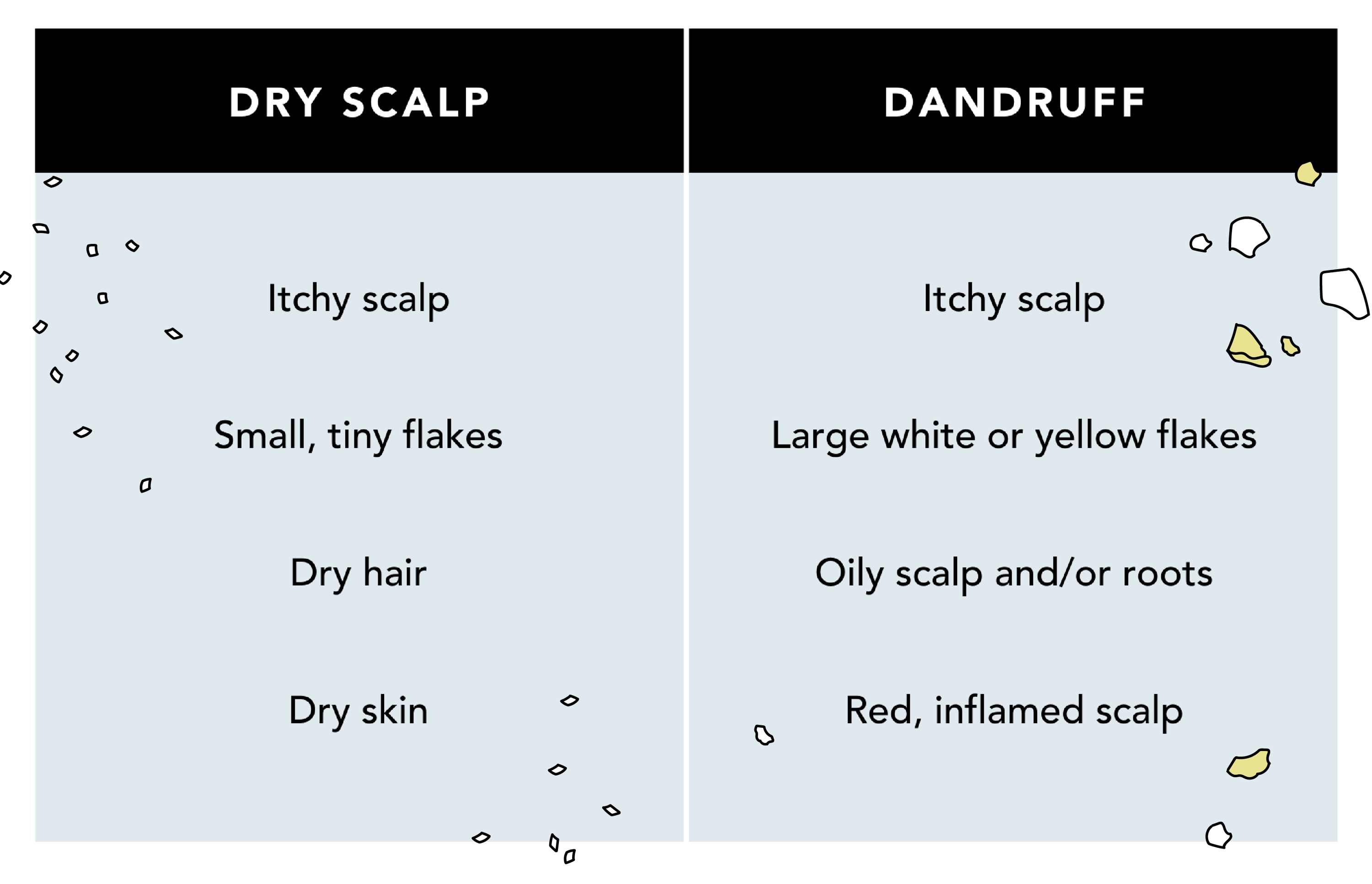 Dandruff vs Dry Scalp