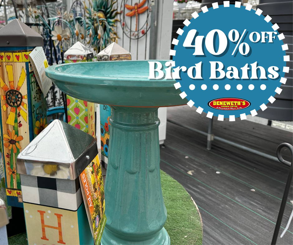 40% off Bird Baths