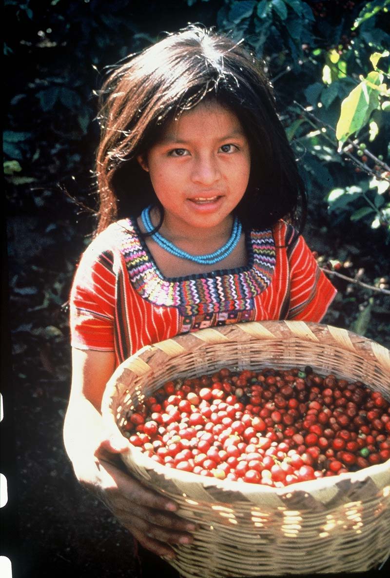 Girl in traditional clothing holding a basket of red berries.