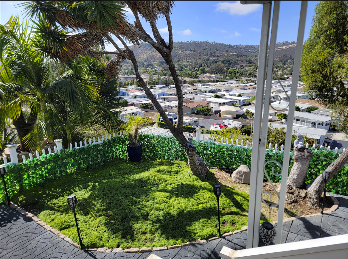 View of a green garden with palm trees and a distant landscape.