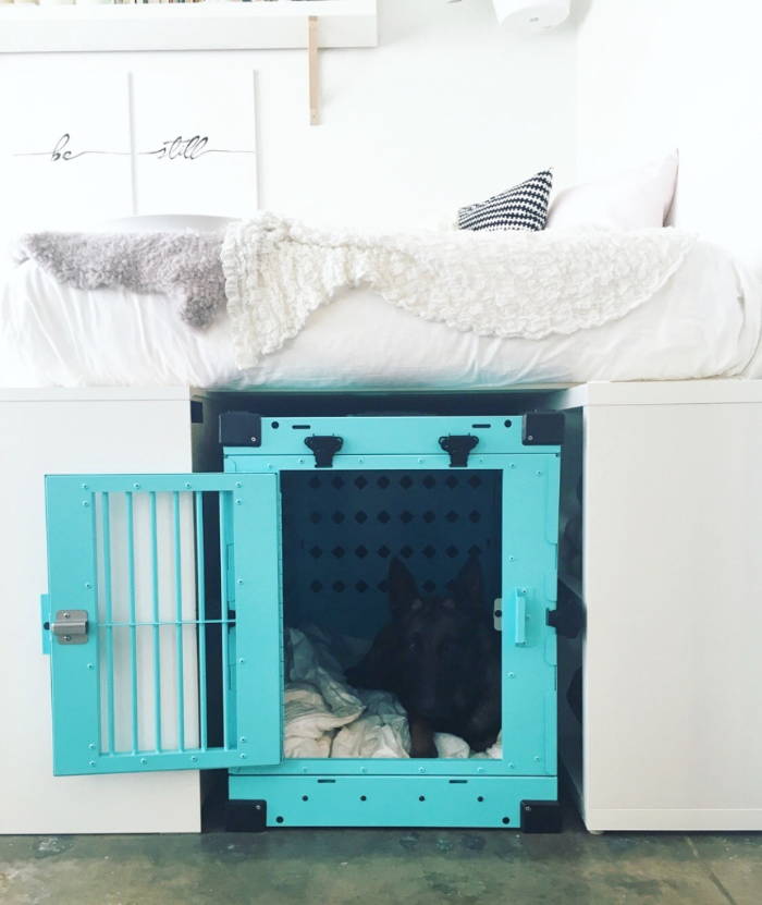 x large size 450 teal collapsible impact dog crate in bedroom storage