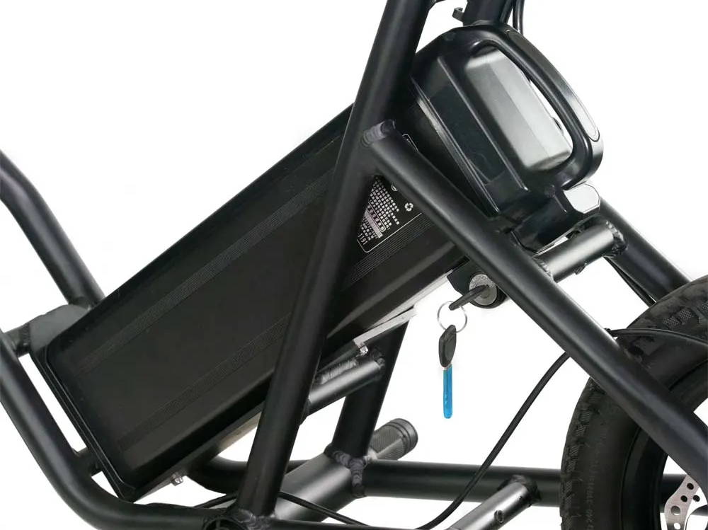 EMOVE RoadRunner removable battery