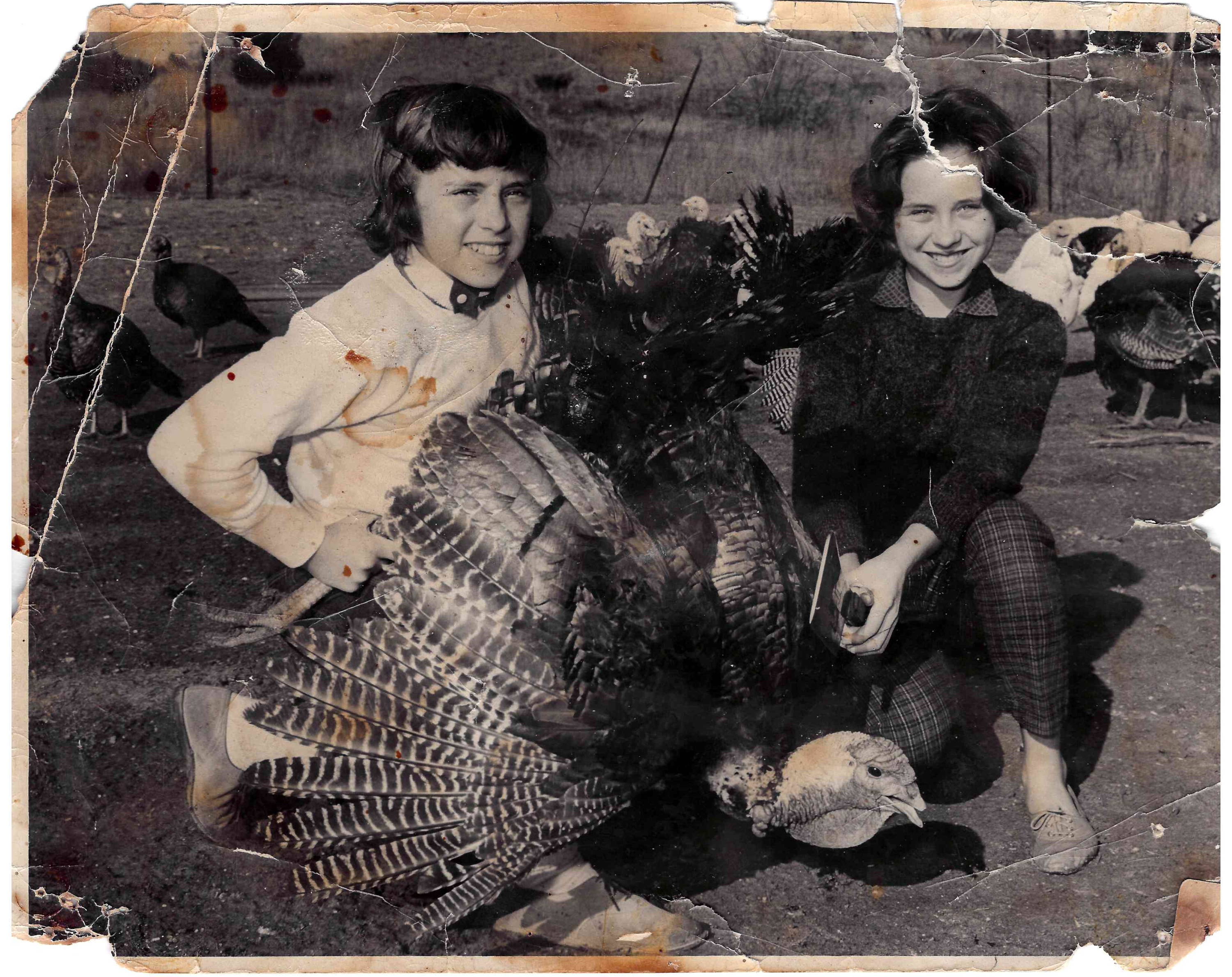 Two women kneeling on ground next to a turkey.