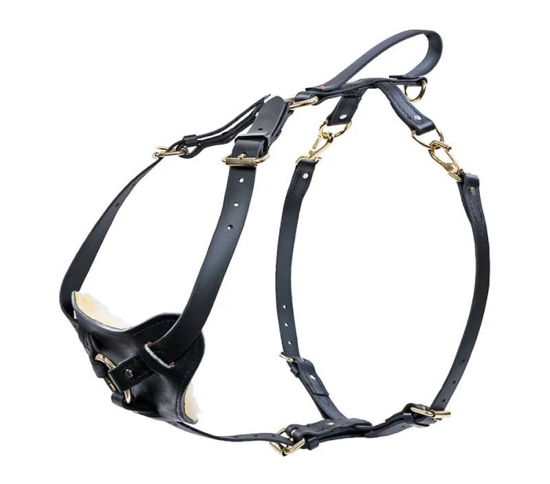 Ray Allen Biothane Multifunction Harness