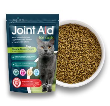 Joint Aid for Cats