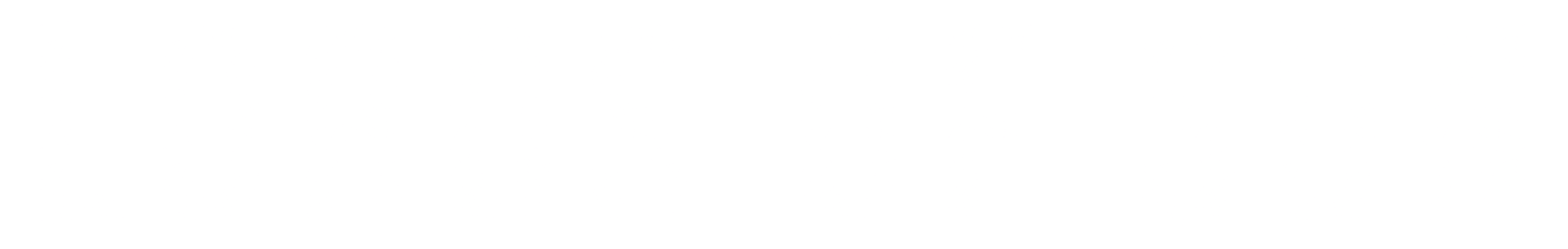 Lords of Sun logo