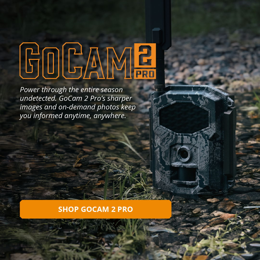 GC2P Launch