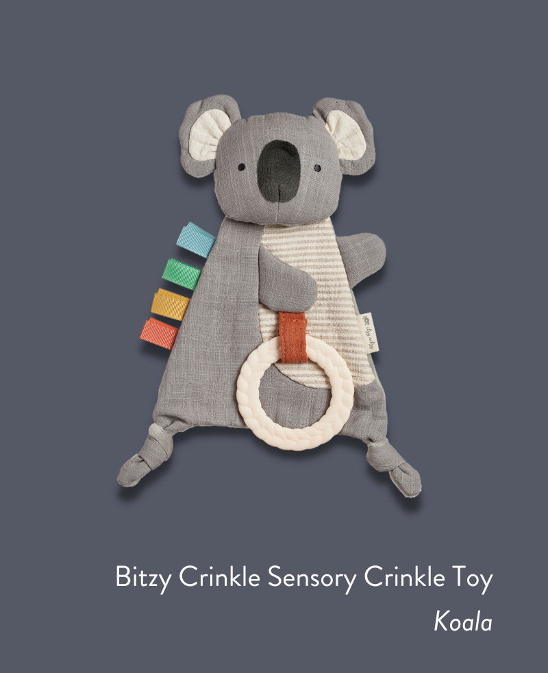 Koala Crinkle Toy
