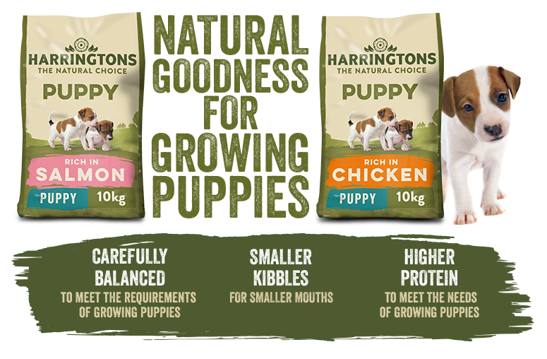 Natural Goodness for Growing Puppies