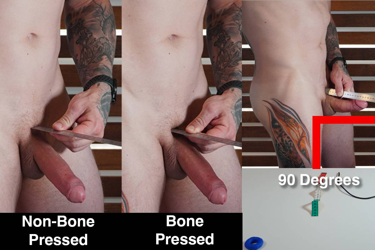 bone pressed erect length