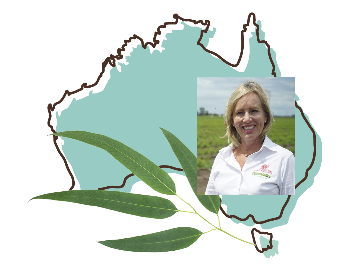 Eucalyptus woman owned farm with koala sanctuary _Babo Botanicals