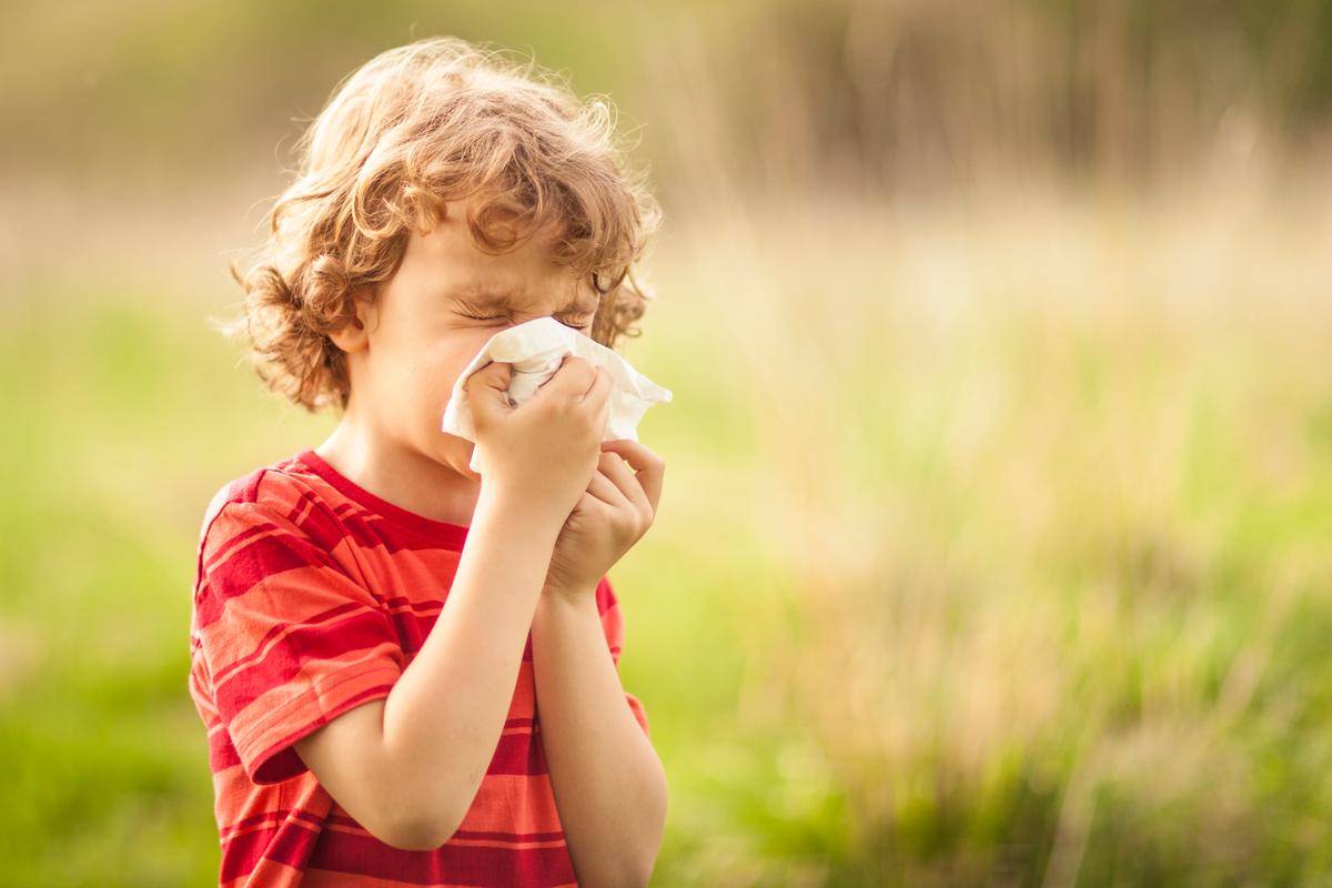 Et barn nyser inn i et lommetørkle. Det kan være lett å forveksle symptomer på forkjølelse og pollenallergi.