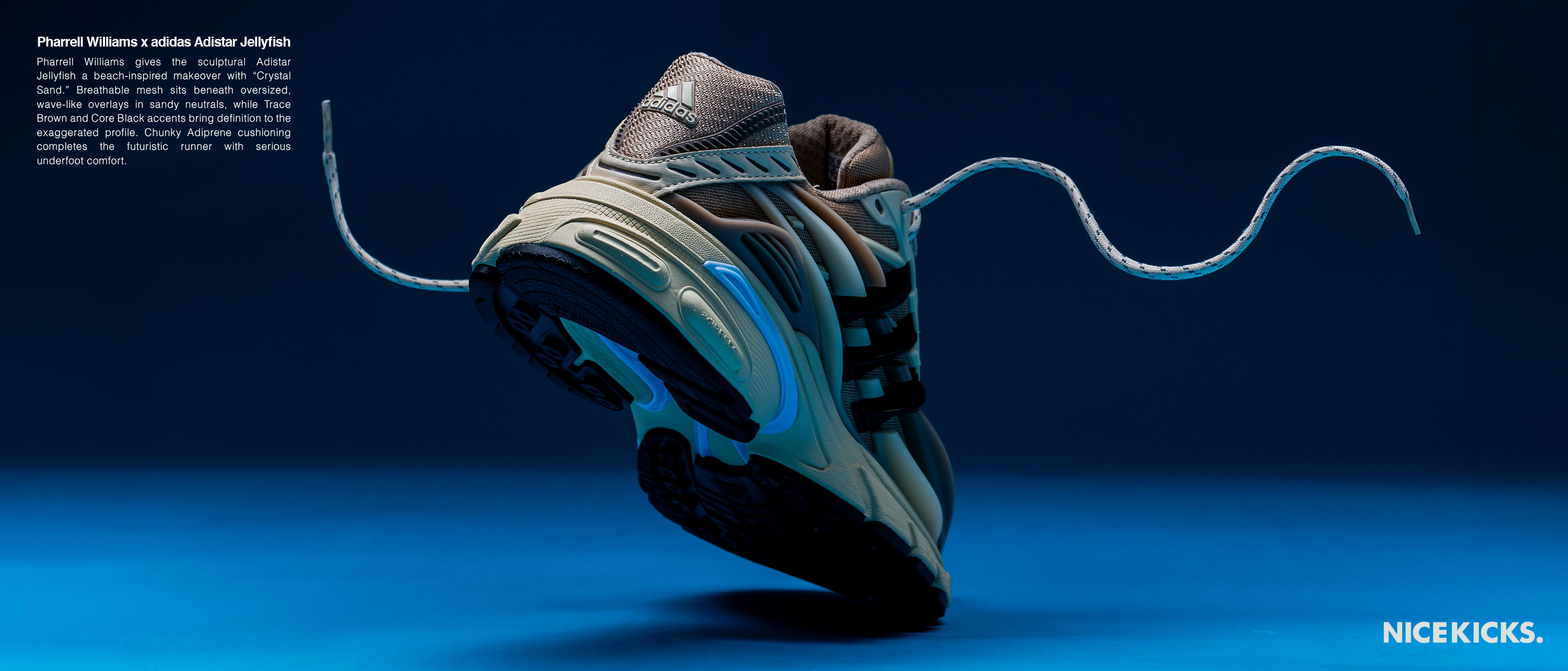 A floating sneaker with untied laces on a blue background.