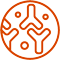 antibody icon