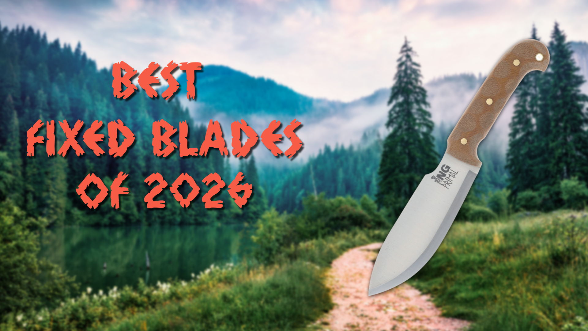 Best fixed blades of 2026 with a knife in a forest setting.