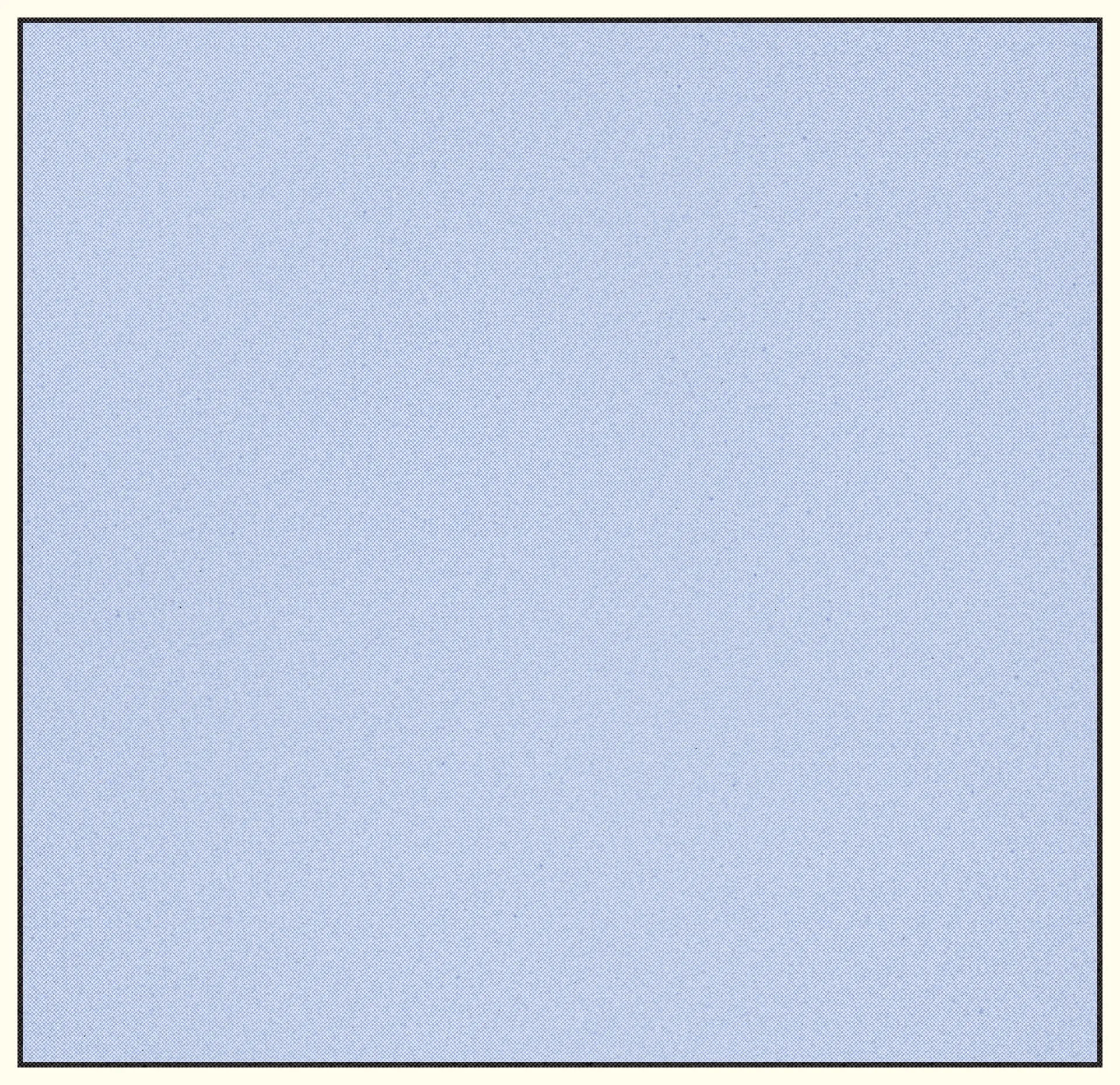 Solid light blue square with a thin border.