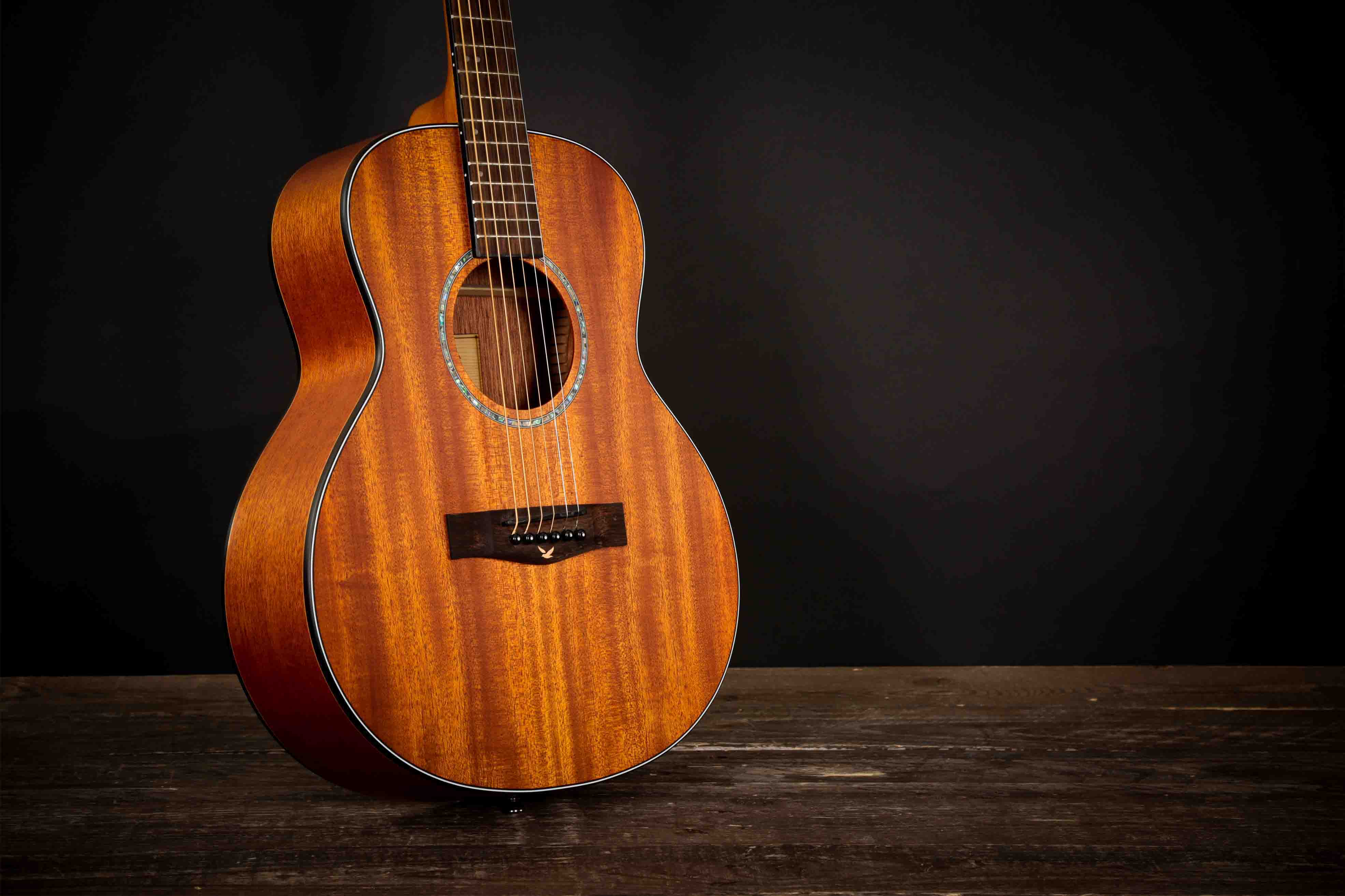 A Guide to EastCoast - The Best Guitars for Beginners!