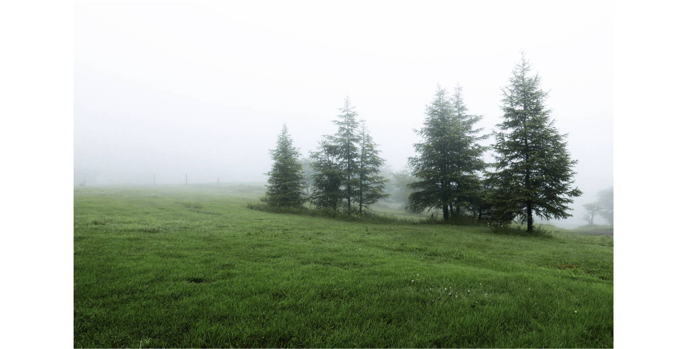 霧に覆われた高原