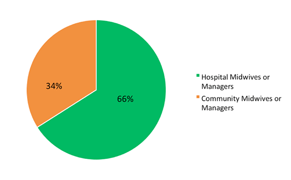 Graph Showing Which Best Describes Your Occupation - 66% Hospital Midwives Or Managers & 34% Community Midwives Or Managers