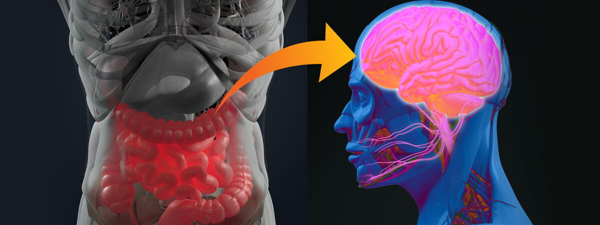 Impact on Energy and Cognitive Function