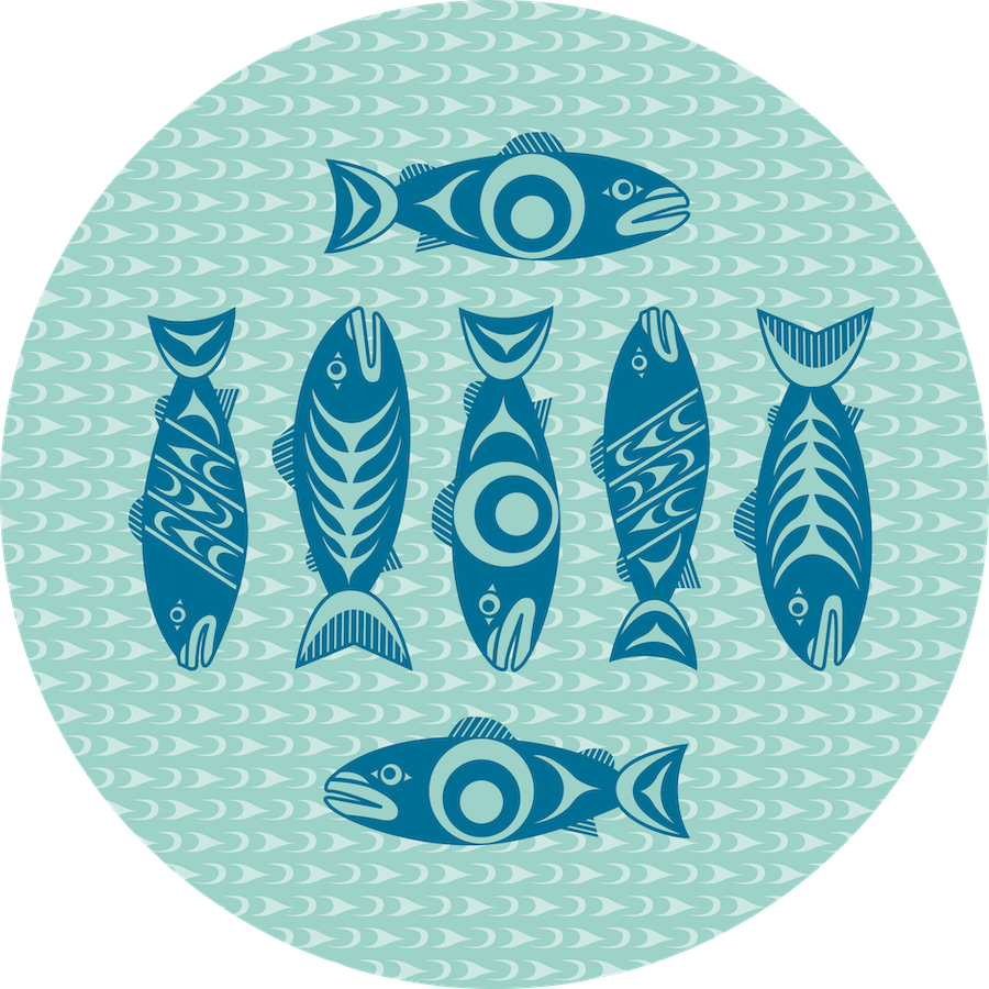 Salmon in the Wild