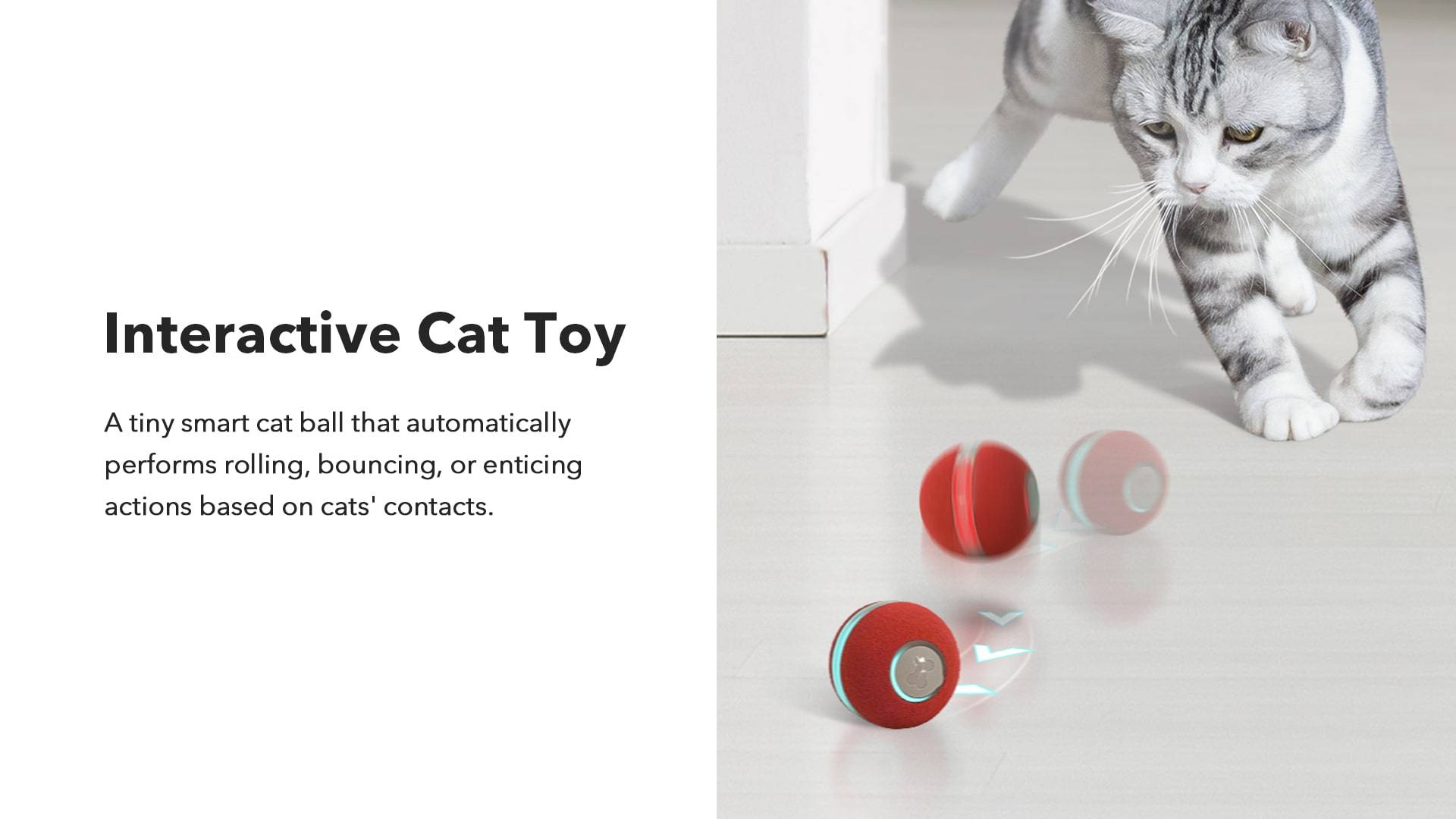 Juguete interactivo para gatos