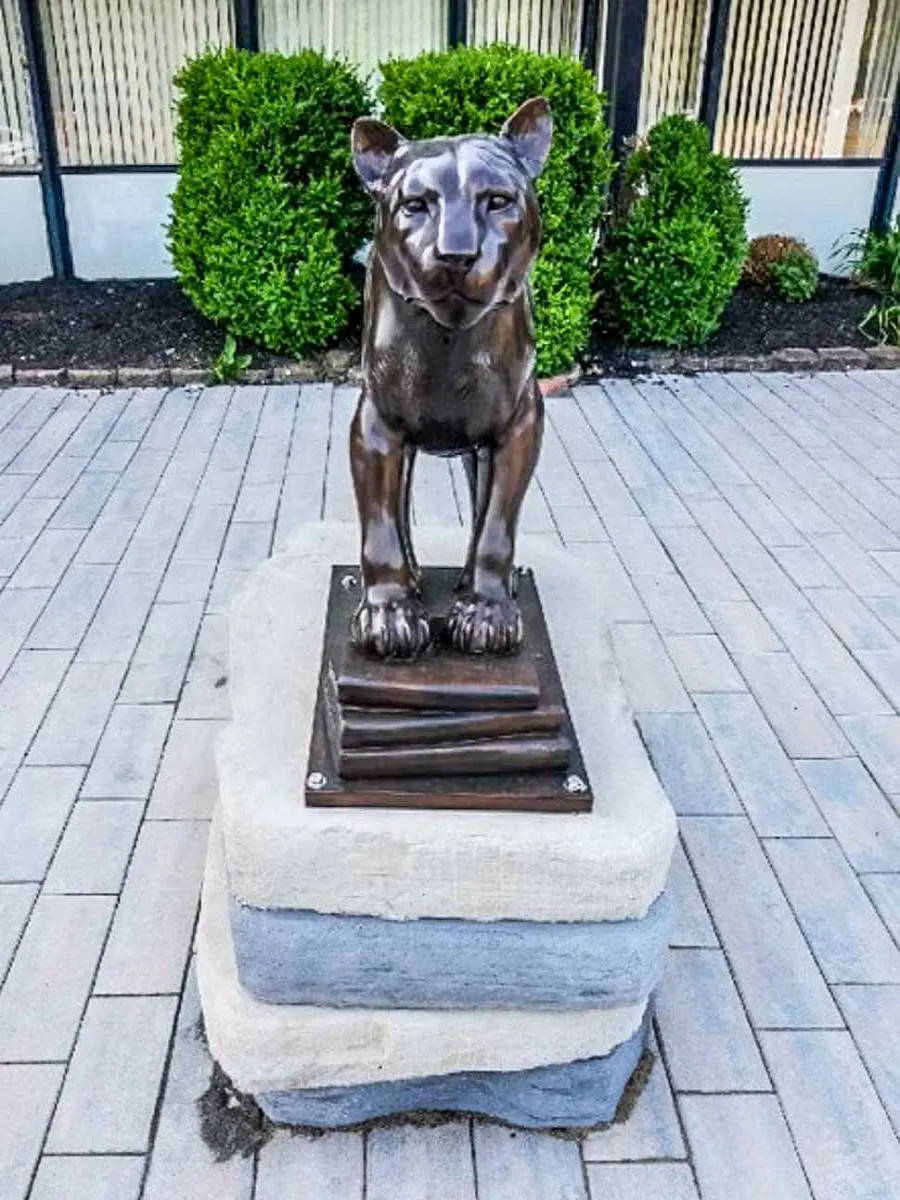 Finished Bronze Sculpture of a Cougar standing on a stack of books