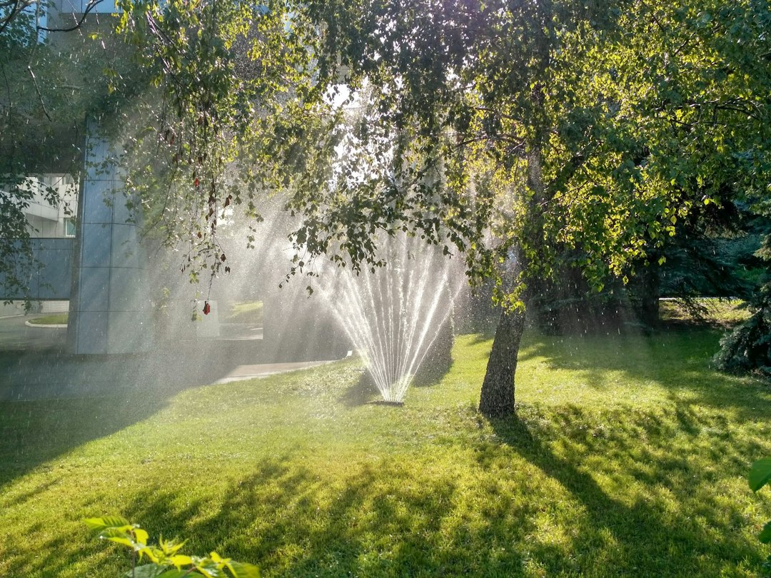Sunlight illuminates a sprinkler watering a lush green lawn