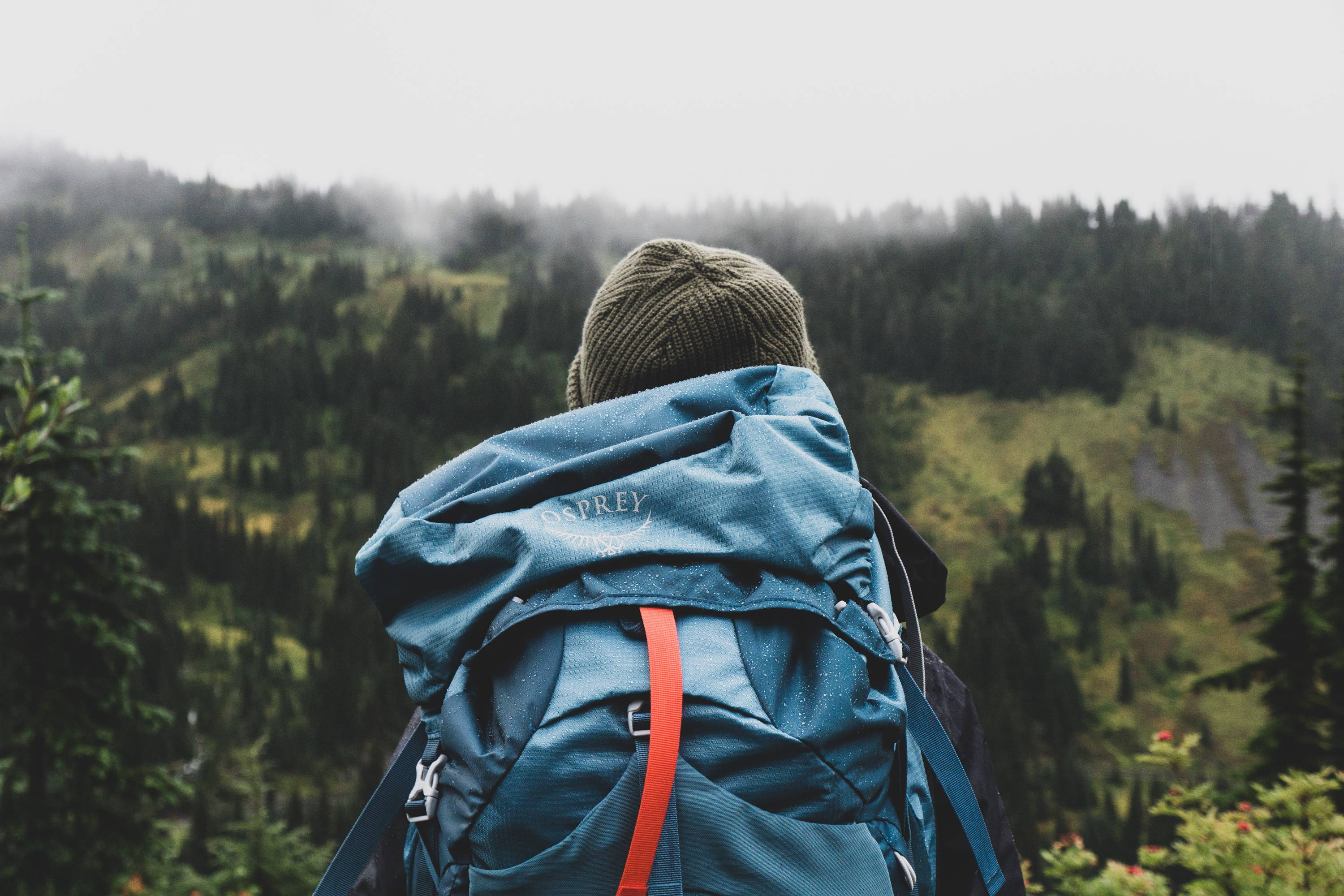 best osprey backpack for day hiking