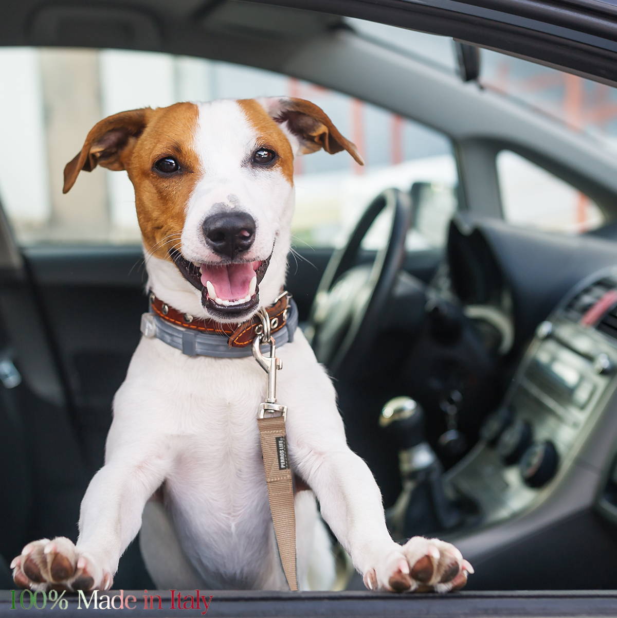 犬用 車用 PERROS シートベルトリード 車専用の安全リード 愛犬を確実に固定 シートベルトアタッチメント付き