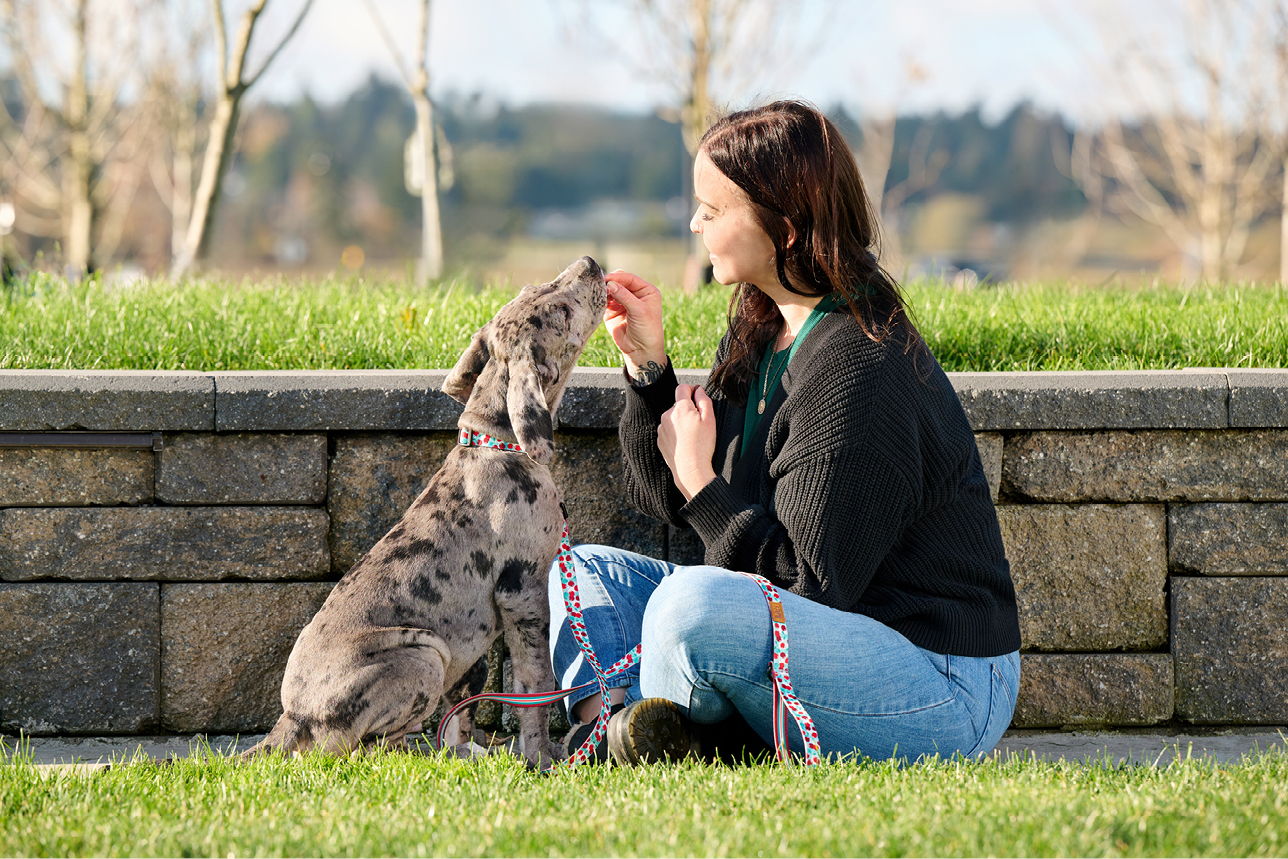 A woman interacts with her dog outdoors near a stone wall.