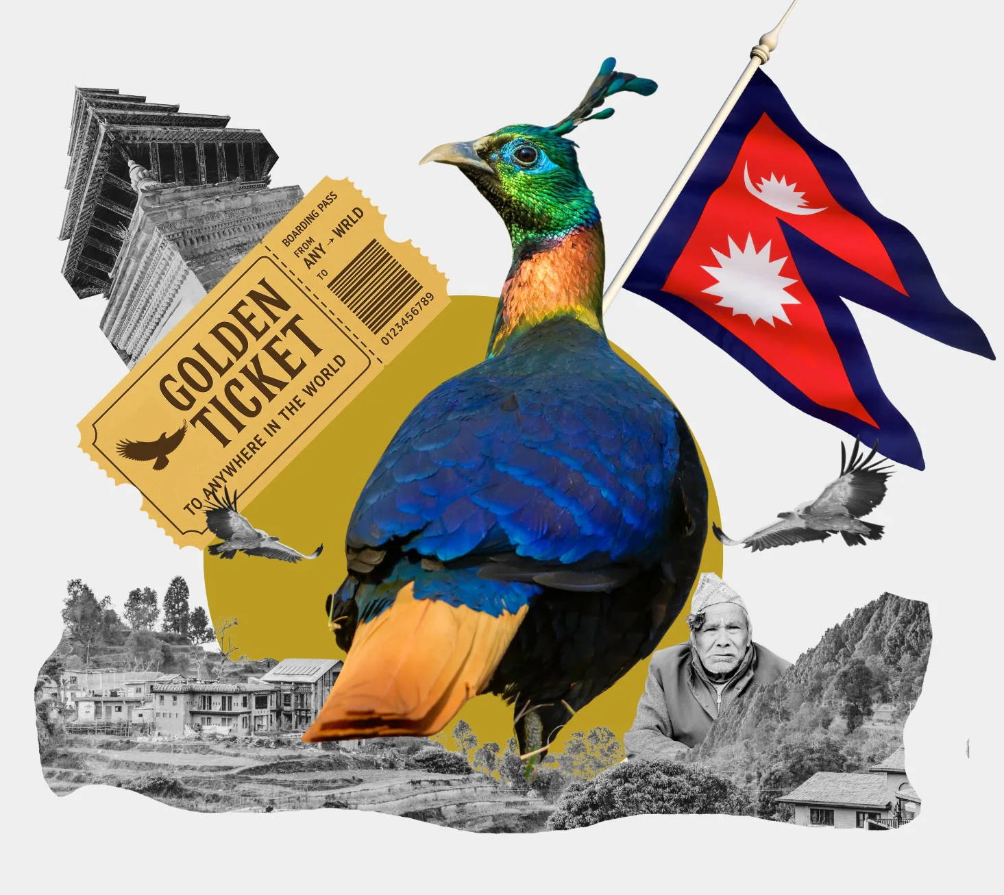 Collage of Himalayan Monal with the Nepal flag, an eagle soaring