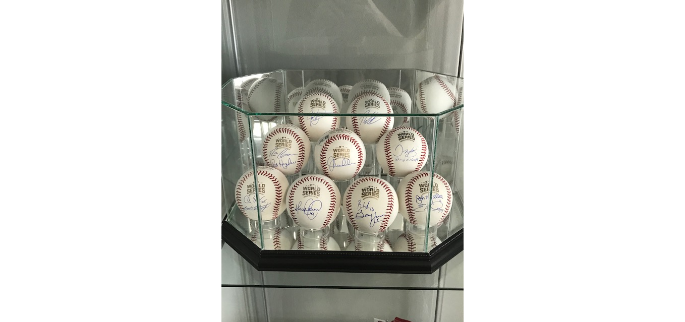 Baseball Display Case