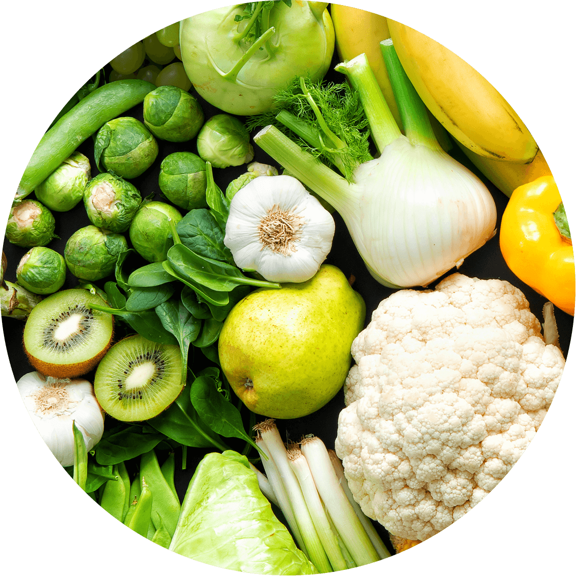 A variety of white vegetables arranged neatly on a surface.