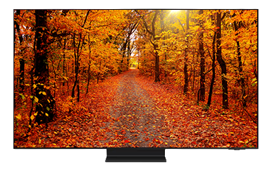 A television displaying a scenic autumn forest path with colorful foliage.